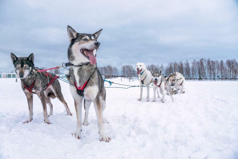 Snow Hotel Kemi Luaran gambar